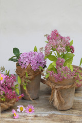 Alte Blumentöpfe mit Pflanzen als Dekoration