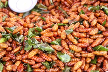 Fried Insect at street food