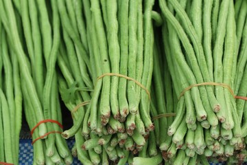 Long bean