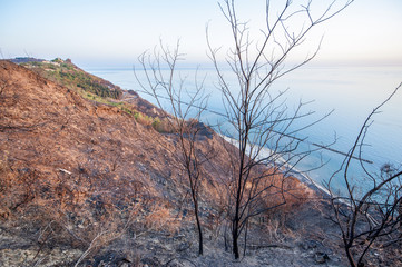 Distruzione dell'ambiente