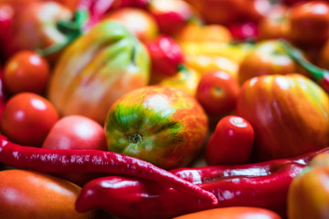 colorful various tomato and pepper blur background