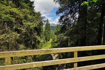 Wooden fence in the Alps under blue sky