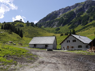 Alpe Almwirtschaft in den Bergen