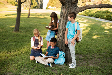 multiethnic teenagers studying in park