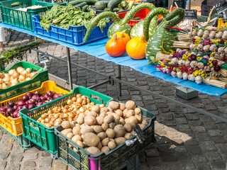 Deko Kürbisse auf dem Wochenmarkt