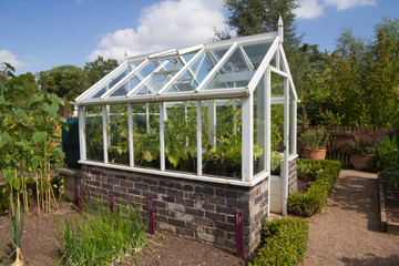Greenhouse takes prime position in English vegetable garden