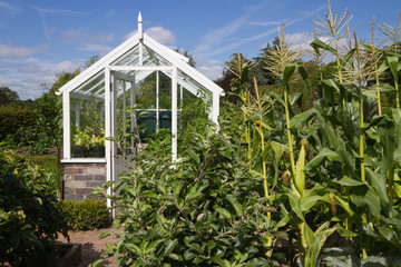 Greenhouse takes prime position in English vegetable garden