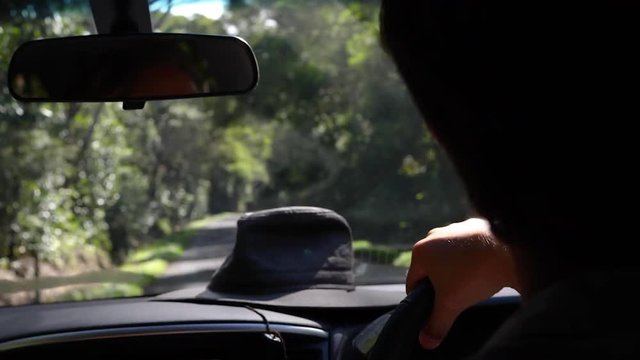 Shot of a bushy road from the backseat of a moving car. The back of the drivers head and his hat on the dashboard are visible.