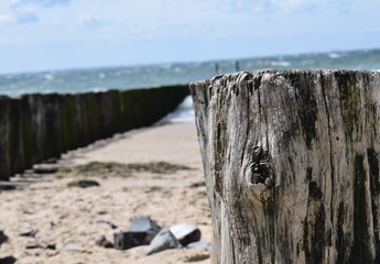 wooden poles at the beach