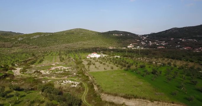 Flying high over olive tree farm