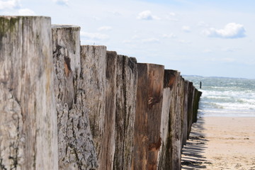 wooden poles at the beach