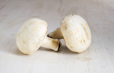 white big champignons