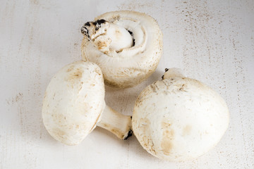 white big champignons