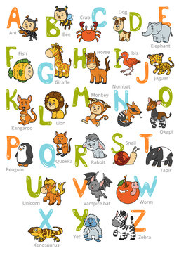 Vector color zoo alphabet with cute animals
