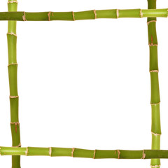 bamboo frame