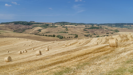 A large number of round hay bales in the Sienese countryside near Pienza in the summer season, Tuscany, Italy