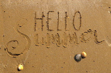 HELLO SUMMER hand lettered in sand on beach with shells