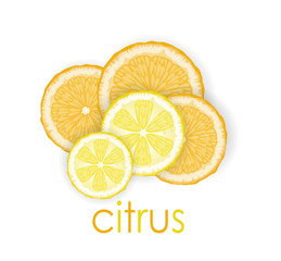 lemon and orange slices on white background