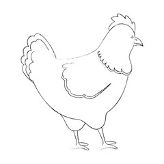 farm hen isolated icon vector illustration design