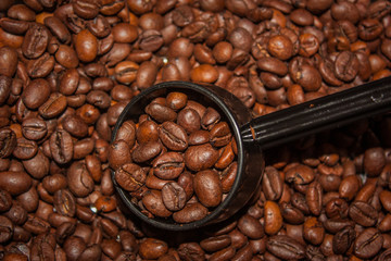 Roasted Coffee beans