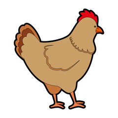 farm hen isolated icon vector illustration design