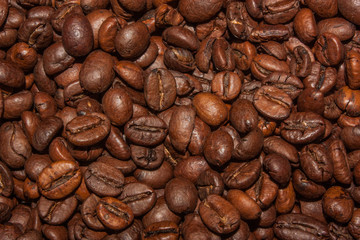 Roasted Coffee beans