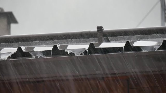 Rain