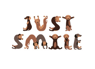 Just smile. Dachshund dogs letters