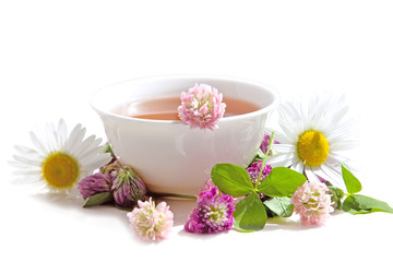 Fototapeta na wymiar Herbs tea from curative plants on white background. Herbal Medicine.