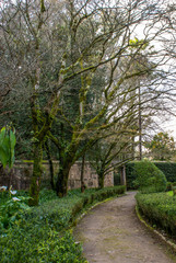 Fototapeta na wymiar Botanical Garden, Coimbra, Portugal