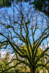 Botanical Garden, Coimbra, Portugal