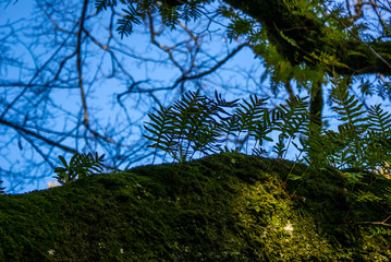 Botanical Garden, Coimbra, Portugal