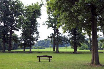 bench meadow trees