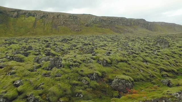 old lava field covered by moss near hills in Iceland, in autumn day, cloudy weather, moving shot