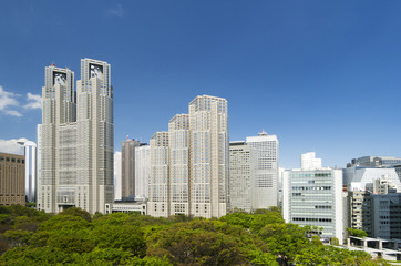 Fototapeta premium 東京風景 春 東京都庁と新宿高層ビル群