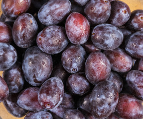 Drops of water on the plums.