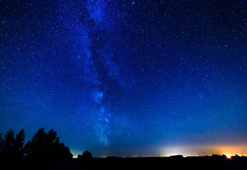 Milky way and stars over the forest.