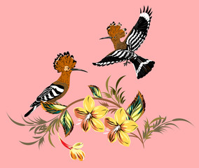A pair of hoopoes on a cherry blossom branch