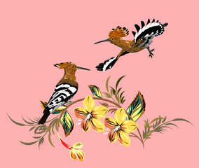 A pair of hoopoes on a cherry blossom branch