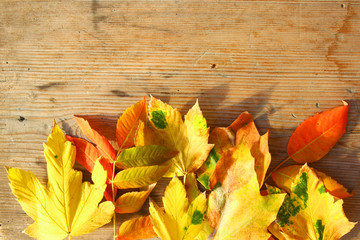 Obraz premium Fall leaves on wooden table