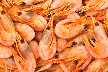 shrimps