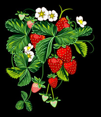 Juicy strawberries on bush with leaves and flowers
