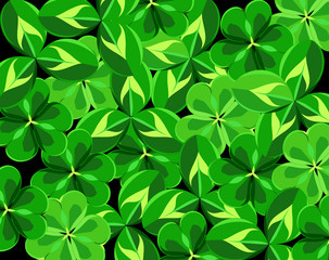 Bright leaves of clover