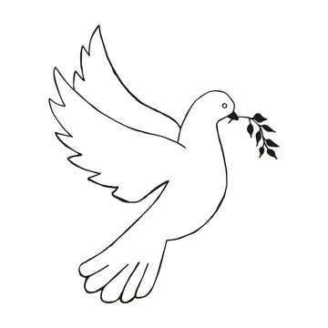 Dove with olive branch. Hand draw. Vector illustration.