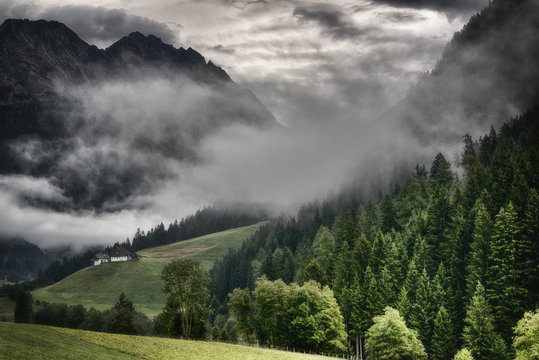 Fototapeta Fog in the valley with forest in the foreground