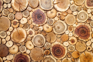 Round wooden stumps background,Trees cut section for background texture.