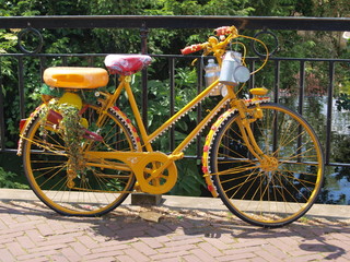 Holland Cycling - 169933261