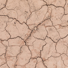 spoiled loam with scratches and dried earth