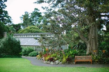 Bank im Botanischen Garten von Sydney