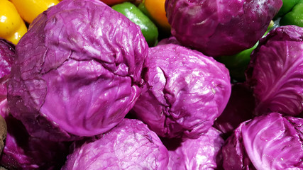 Obraz premium red cabbage radiccio isolated on white
